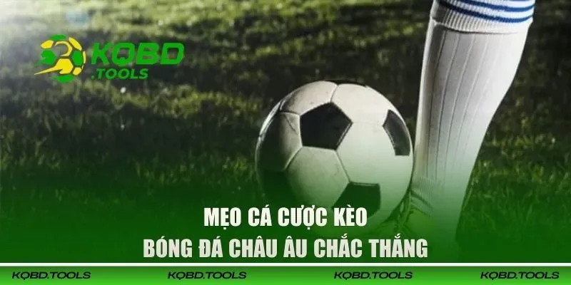 Kèo Châu Âu | Hướng Dẫn Cách Đọc Kèo Chuẩn Xác Nhất 3 Mẹo cá cược kèo bóng đá Châu Âu chắc thắng
