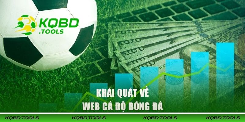 Tổng Hợp Web Cá Độ Bóng Đá Dành Cho Người Chơi Việt 1 Khái quát về web cá độ bóng đá