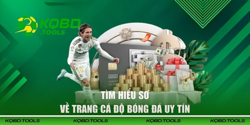 Top 4 Trang Cá Độ Bóng Đá Uy Tín Được Yêu Thích 2026 1 Tìm hiểu sơ về trang cá độ bóng đá uy tín