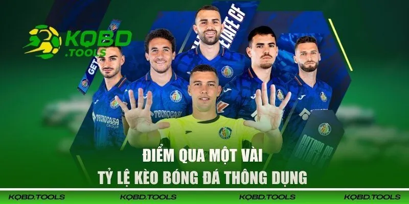 Tỷ Lệ Bóng Đá Là Gì? Website Tỷ Lệ Kèo Bóng Đá Đáng Tin Cậy 2 Điểm qua một vài tỷ lệ kèo bóng đá thông dụng